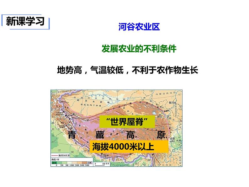 2020-2021学年八年级下册地理教学课件   第九章第一节 自然特征与农业（第2课时）第5页