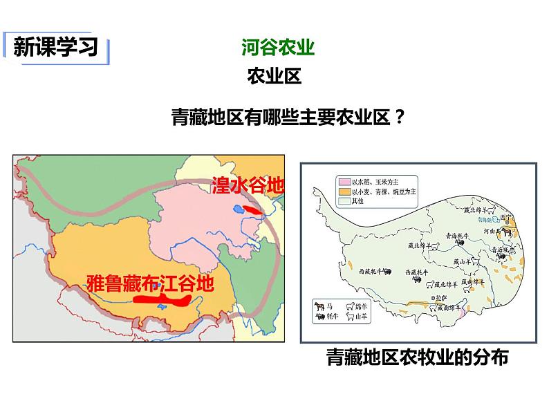 2020-2021学年八年级下册地理教学课件   第九章第一节 自然特征与农业（第2课时）第6页