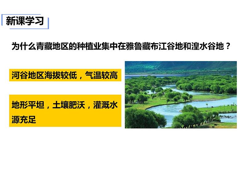 2020-2021学年八年级下册地理教学课件   第九章第一节 自然特征与农业（第2课时）第7页