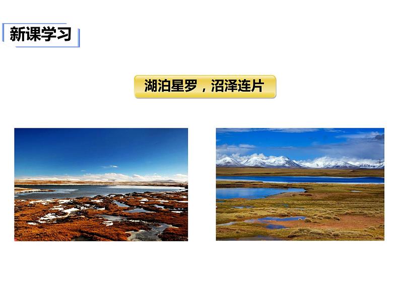 2020-2021学年八年级下册地理教学课件   第九章第一节 自然特征与农业（第1课时）第8页