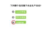 沪教版地理七年级下册1.1 世界农业大国(共38张PPT)