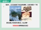 人教版七年级地理上册 第二章  第二节   海陆的变迁 课件