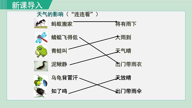 人教版七年级地理上册 第三章  第一节  多变的天气 课件03