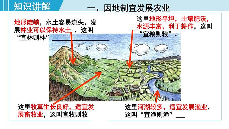 人教版八年级地理上册 第四章 第二节 4.2.2  发展农业要因地制宜 走科技强农之路 课件06