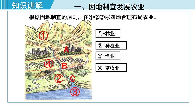 人教版八年级地理上册 第四章 第二节 4.2.2  发展农业要因地制宜 走科技强农之路 课件07