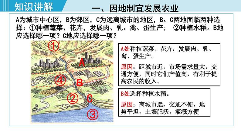 人教版八年级地理上册 第四章 第二节 4.2.2  发展农业要因地制宜 走科技强农之路 课件08