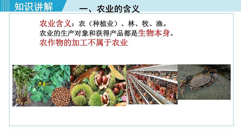 人教版八年级地理上册 第四章 第二节 4.2.1  农业及其重要性 我国农业的地区分布 课件05