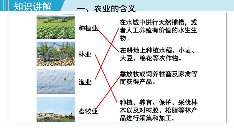 人教版八年级地理上册 第四章 第二节 4.2.1  农业及其重要性 我国农业的地区分布 课件06