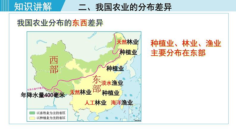 人教版八年级地理上册 第四章 第二节 4.2.1  农业及其重要性 我国农业的地区分布 课件07