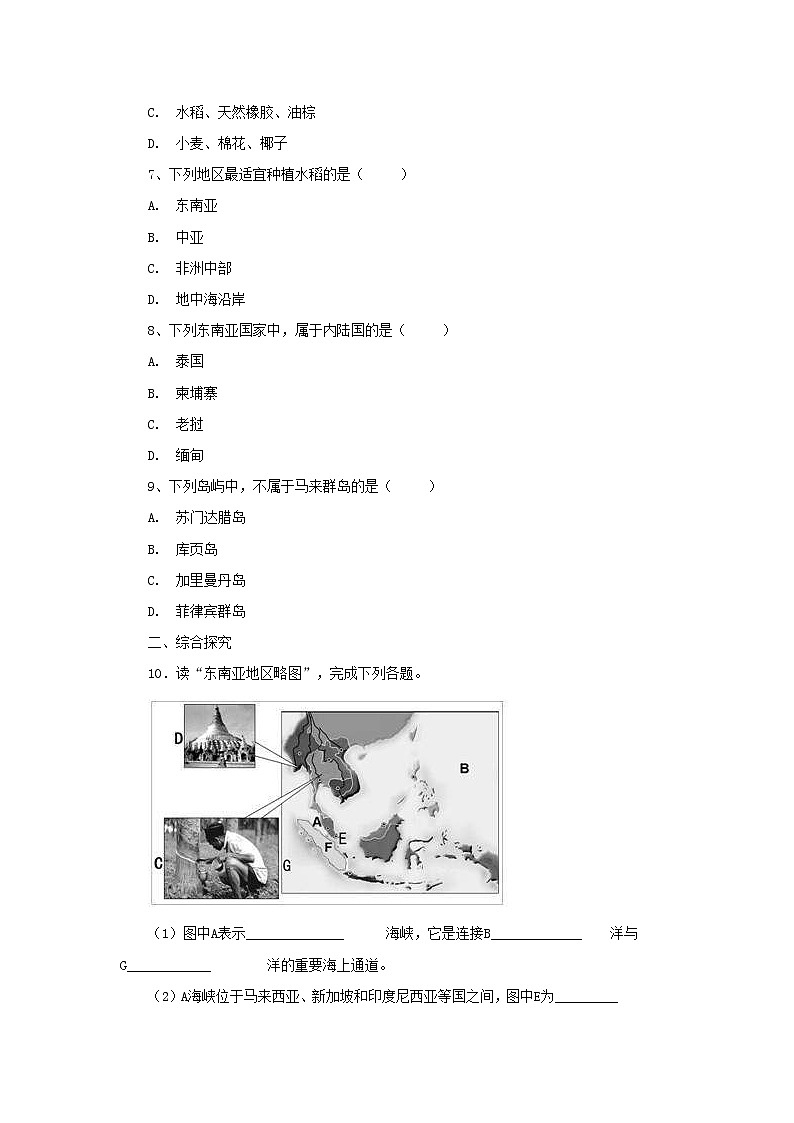 （通用版）中考地理一轮复习《东南亚的位置气候和农业》课后作业 (含答案)02