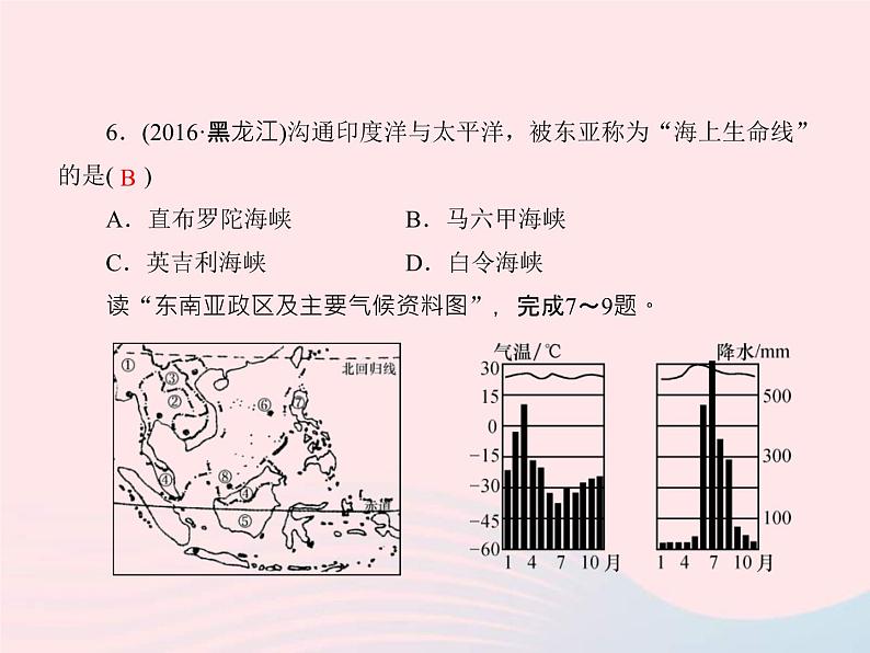 人教版中考地理专题梳理七下《各具特色的地区东南亚中东撒哈拉以南的非洲》复习课件（含答案）08