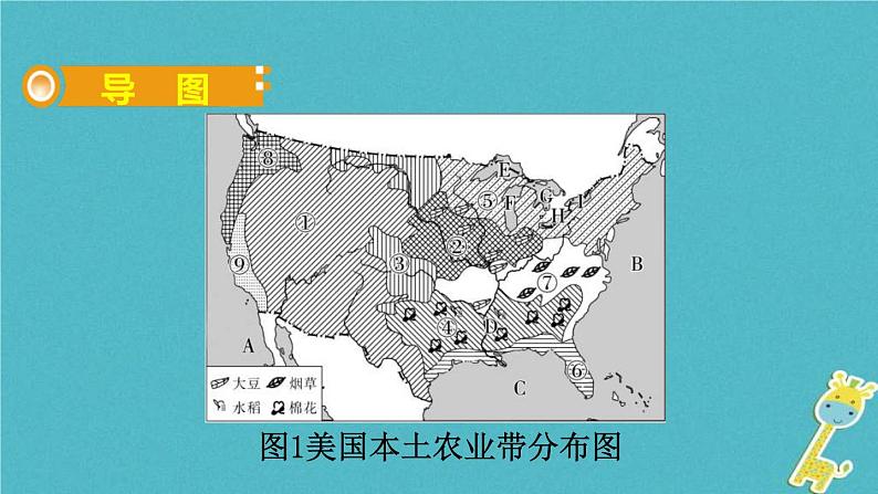 人教版中考地理总复习《18美国》课件（含答案）02