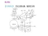 人教版八年级地理上册习题课件 第2章 2.1.1 地形类型多样，山区面积广大