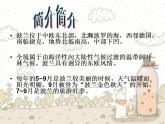 人教版九年级音乐上册 第四单元 欣赏 c小调练习曲