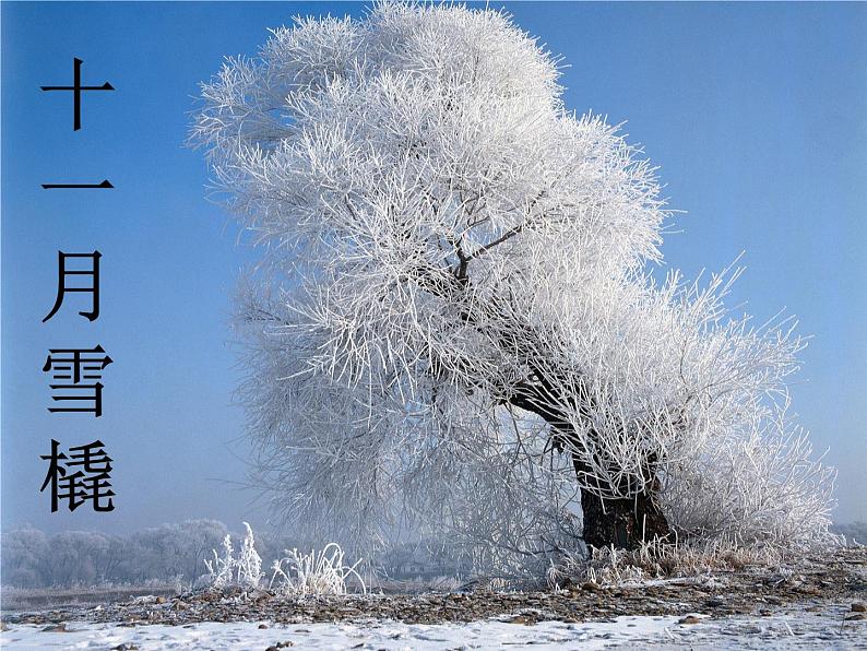 第六单元 欣赏 十一月·雪橇-资源包【教学设计+课件+素材】01