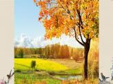 人教版七年級上冊  金色的秋天/唱歌《西風(fēng)的話》》課件