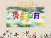 人教版八年级上册  歌舞青春/唱歌《青春舞曲》课件