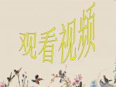 人教版八年級(jí)上冊(cè)  電子空間站/欣賞《西班牙斗牛舞曲》課件