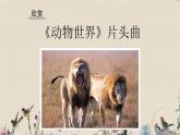 人教版八年级上册  电子空间站/欣赏《动物世界》片头曲  课件