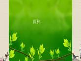 人教版八年級(jí)上冊(cè)  電子空間站/欣賞《雨林》  課件