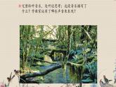 人教版八年級(jí)上冊(cè)  電子空間站/欣賞《雨林》  課件