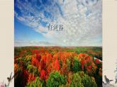 人教版八年級上冊  環(huán)球之旅（三）/非洲與美洲/欣賞《紅河谷》課件