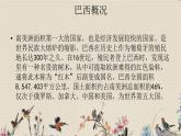 人教版八年级上册  环球之旅（三）/非洲与美洲/欣赏《桑巴》课件