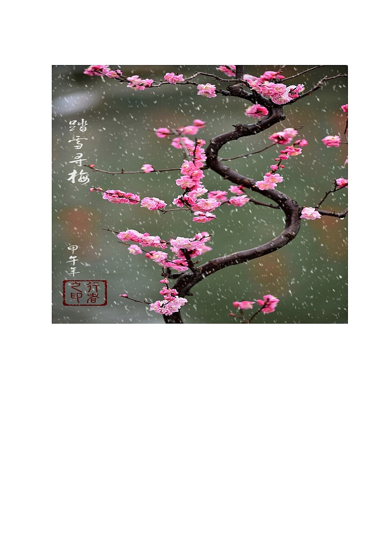 人教版八年级上册  冬之旅唱歌《踏雪寻梅》教案第1页