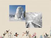 人教版八年级上册  冬之旅/选听《我像雪花天上来》课件