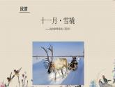 十一月雪橇PPT课件免费下载