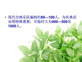 人教版七年级音乐上册 第六单元《青少年管弦乐队指南》课件