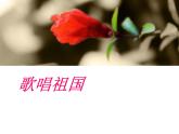 人教版七年級音樂上冊 第二單元 《歌唱祖國》課件