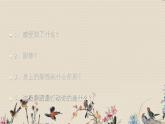 人教版八年級上冊  環(huán)球之旅（三）/非洲與美洲/欣賞《鼓的語言》課件