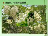 人教版音樂八年級上冊菜花 課件 (3)