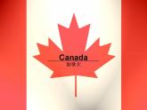 人教版音樂八年級(jí)上冊(cè)紅河谷 課件 (6)