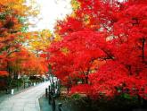 人教版音樂八年級(jí)上冊(cè)紅河谷 課件