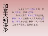 人教版音樂八年級(jí)上冊(cè)紅河谷 課件