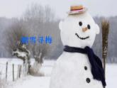 人教版音樂八年級上冊踏雪尋梅 課件 (3)