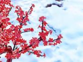 人教版音樂八年級上冊踏雪尋梅 課件 (3)