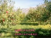 《沂蒙山小調》課件PPT
