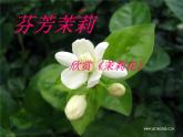 3茉莉芬芳《茉莉花》课件