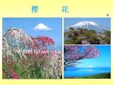 第五单元《环球之旅（1）--亚洲之声》课件PPT