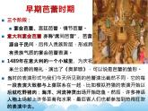 欣赏 西班牙舞曲 课件PPT+素材