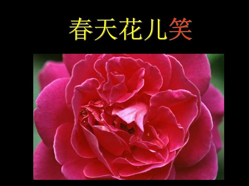 粤教花版七上第3单元 脍炙人口的歌（之一） 歌曲《四季歌》课件第4页