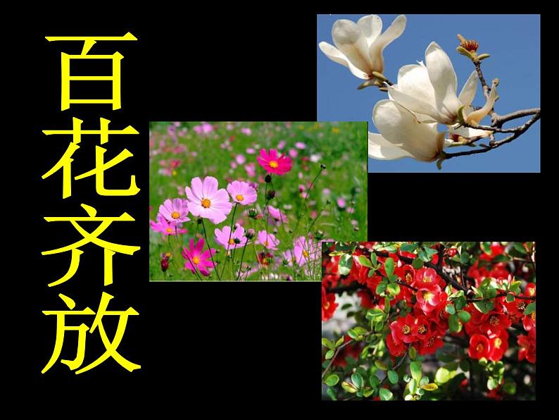 粤教花版七上第3单元 脍炙人口的歌（之一） 歌曲《四季歌》课件第7页