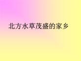 人教版音乐八年级上册初中音乐北方水草茂盛的家乡 课件 素材