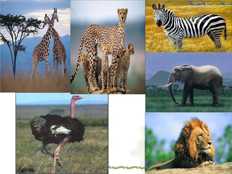 人教版音乐八年级上册初中音乐当太阳降落 课件 教案 (1)02