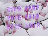 人教版音樂八年級上冊初中音樂踏雪尋梅 課件 教案 音頻