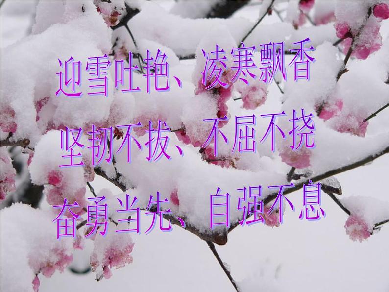 人教版音乐八年级上册初中音乐踏雪寻梅 课件 教案 音频05