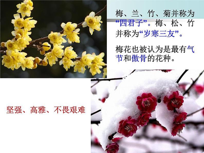 人教版音乐八年级上册踏雪寻梅 课件 (1) (1)02